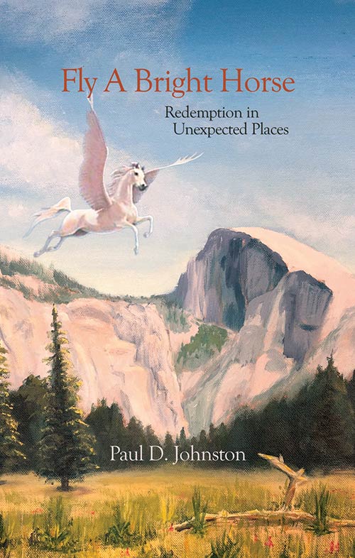 See all 2 images Fly a Bright Horse: Redemption in Unexpected Places | Paul D. Johnston